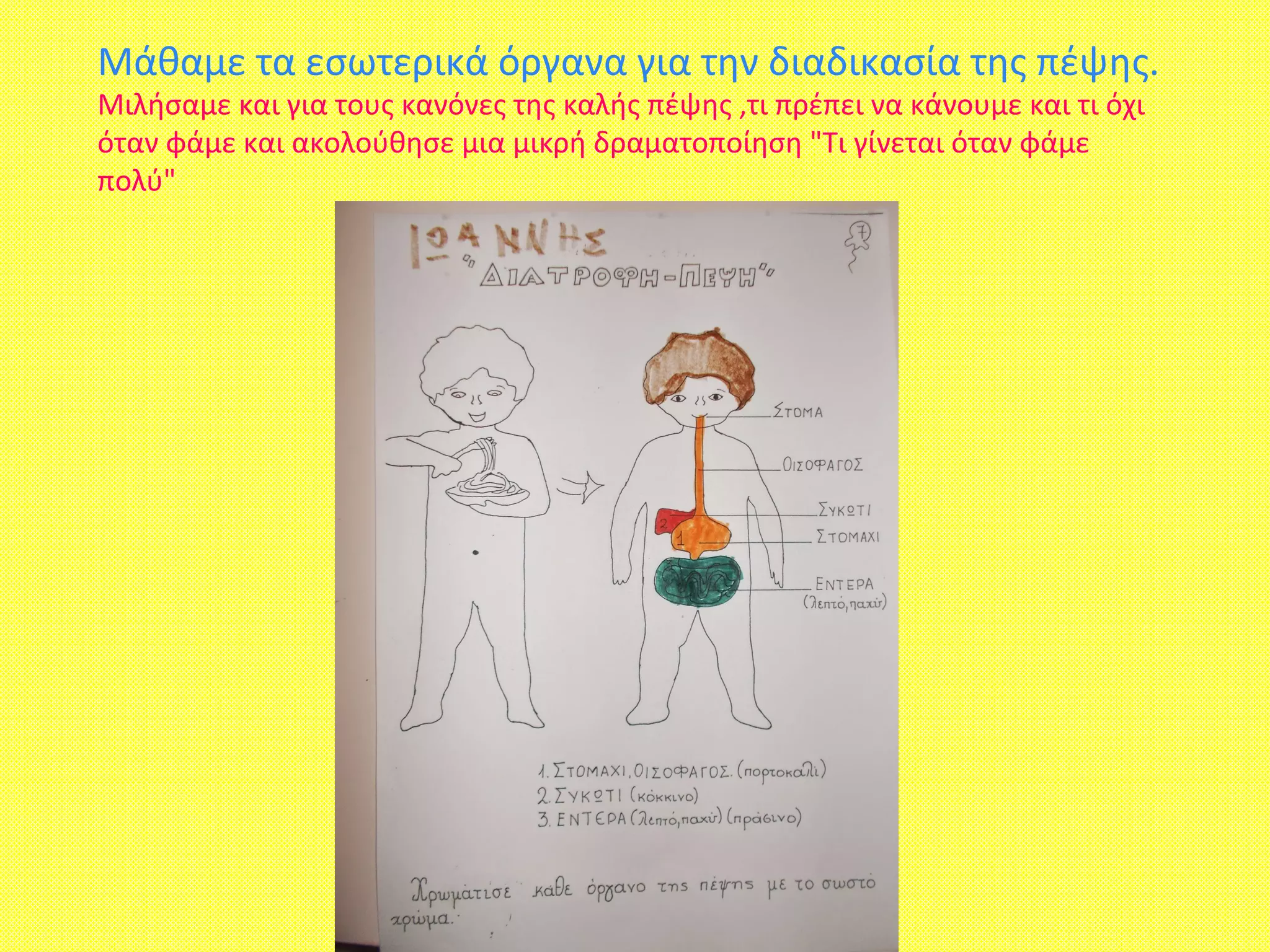 Μάθαμε τα εσωτερικά όργανα για την διαδικασία της πέψης.
Μιλήσαμε και για τους κανόνες της καλής πέψης ,τι πρέπει να κάνουμε και τι όχι
όταν φάμε και ακολούθησε μια μικρή δραματοποίηση "Τι γίνεται όταν φάμε
πολύ"
 