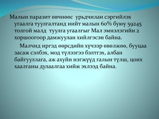Малын паразит өвчнөөс урьдчилан сэргийлэх
угаалга туулгалтанд нийт малын 60% буюу 59245
толгой малд туулга угаалгыг Мал эмнэлэгийн 2
хоршоогоор дамжуулан хийлгэсэн байна.
Малчид иргэд өөрсдийн хүчээр өвөлжөө, бууцаа
засаж сэлбэх, мод түлээгээ бэлтгэх, албан
байгууллага, аж ахуйн нэгжүүд галын түлш, цонх
хаалганы дулаалгаа хийж эхлээд байна.
 