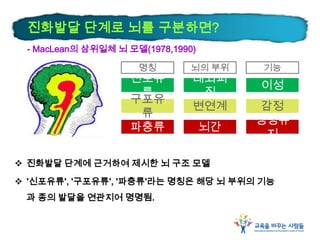 진화발달 단계로 뇌를 구분하면?
- MacLean의 삼위일체 뇌 모델(1978,1990)
 진화발달 단계에 근거하여 제시한 뇌 구조 모델
 '신포유류', '구포유류', '파충류'라는 명칭은 해당 뇌 부위의 기능
과 종의 발달을 연관지어 명명됨.
신포유
류
구포유
류
파충류
대뇌피
질
변연계 감정
뇌간
생명유
지
이성
명칭 뇌의 부위 기능
 