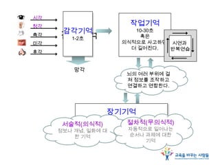 망각
감각기억
감각기억
1-2초
청각
촉각
미각
후각
시각
감각기억
작업기억
10-30초
혹은
의식적으로 사고하면
더 길어진다.
뇌의 여러 부위에 걸
쳐 정보를 조작하고
연결하고 연합한다.
시연과
반복연습
감각기억장기기억
서술적(의식적)
정보나 개념, 일화에 대
한 기억
절차적(무의식적)
자동적으로 일어나는
순서나 과제에 대한
기억
 