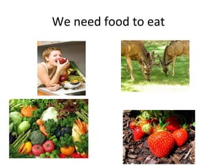 We need food to eat
 