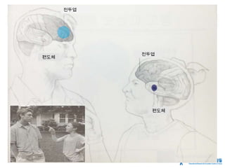 전두엽
전두엽
편도체
편도체
 