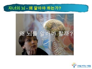 자녀의 뇌 - 왜 알아야 하는가?
 