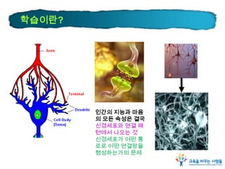 학습이란?
인간의 지능과 마음
의 모든 속성은 결국
신경세포와 연결 패
턴에서 나오는 것
신경세포가 어떤 통
로로 어떤 연결망을
형성하는가의 문제
 