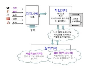 망각
감각기억
감각기억
1-2초
청각
촉각
미각
후각
시각
감각기억
작업기억
10-30초
혹은
의식적으로 사고하면
더 길어진다.
뇌의 여러 부위에 걸
쳐 정보를 조작하고
연결하고 연합한다.
시연과
반복연습
감각기억장기기억
서술적(의식적)
정보나 개념, 일화에 대
한 기억
절차적(무의식적)
자동적으로 일어나는
순서나 과제에 대한 기
억
 