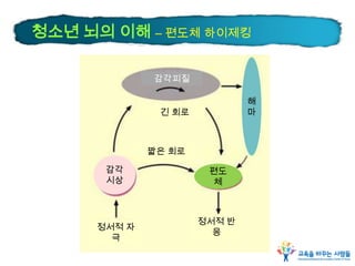감각
시상
편도
체
해
마
감각피질
긴 회로
짧은 회로
정서적 자
극
정서적 반
응
청소년 뇌의 이해 – 편도체 하이제킹
 