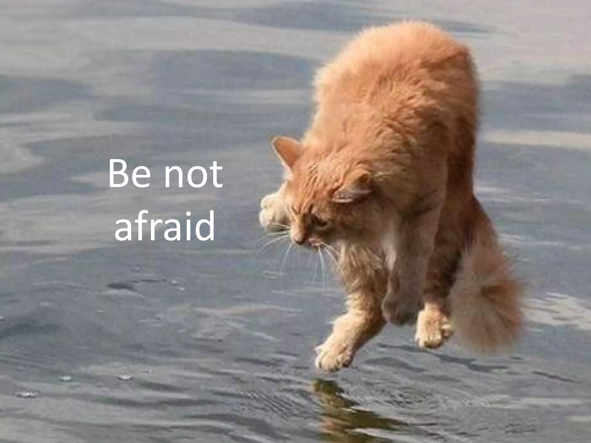 Be not
afraid
 