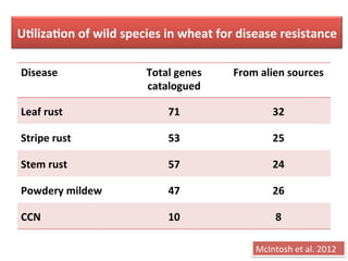 UDlizaDon	
  of	
  wild	
  species	
  in	
  wheat	
  for	
  disease	
  resistance	
  
Disease	
   Total	
  genes	
  
catalogued	
  
From	
  alien	
  sources	
  
Leaf	
  rust	
   71	
   32	
  
Stripe	
  rust	
   53	
   25	
  
Stem	
  rust	
   57	
   24	
  
Powdery	
  mildew	
   47	
   26	
  
CCN	
   10	
   8	
  
McIntosh	
  et	
  al.	
  2012	
  
 