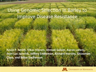 Using	
  Genomic	
  Selec.on	
  in	
  Barley	
  to	
  
Improve	
  Disease	
  Resistance	
  
Kevin	
  P.	
  Smith,	
  Vikas	
  Vikram,	
  Ahmad	
  Sallam,	
  Aaron	
  Lorenz,	
  
Jean-­‐Luc	
  Jannink,	
  Jeﬀrey	
  Endleman,	
  Richard	
  Horsley,	
  Shiaoman	
  
Chao,	
  and	
  Brian	
  Steﬀenson	
  	
  
 