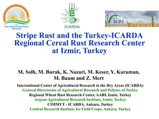 Stripe Rust and the Turkey-ICARDA
Regional Cereal Rust Research Center
at Izmir, Turkey
M. Solh, M. Burak, K. Nazari, M. Keser, Y. Karaman,
M. Baum and Z. Mert
International Center of Agricultural Research in the Dry Areas (ICARDA)
General Directorate of Agricultural Research and Policies of Turkey
Regional Wheat Rust Research Center, AARI, Izmir, Turkey
Aegean Agricultural Research Institute, Izmir, Turkey
CIMMYT - ICARDA, Ankara, Turkey
Central Research Institute for Field Crops, Ankara, Turkey
 