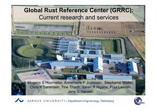 Global Rust Reference Center (GRRC):
Current research and servicesCurrent research and services
Mogens S Hovmøller, Annemarie F Justesen, Stephanie Walter,
Chris K Sørensen, Tine Thach, Julian R Algaba, Poul Lassen,
Jens G Hansen
 