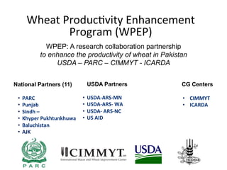 Wheat	
  Produc-vity	
  Enhancement	
  
Program	
  (WPEP)
WPEP: A research collaboration partnership
to enhance the productivity of wheat in Pakistan
USDA – PARC – CIMMYT - ICARDA
National Partners (11) USDA Partners CG Centers
•  PARC	
  	
  
•  Punjab	
  	
  
•  Sindh	
  –	
  	
  
•  Khyper	
  Pukhtunkhuwa	
  
•  Baluchistan	
  	
  
•  AJK	
  
•  USDA-­‐ARS-­‐MN	
  	
  
•  USDA-­‐ARS-­‐	
  WA	
  
•  USDA-­‐	
  ARS-­‐NC	
  
•  US	
  AID	
  
•  CIMMYT	
  
•  ICARDA	
  
 
