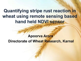 Quantifying stripe rust reaction in
wheat using remote sensing based
hand held NDVI sensor
Apoorva Arora
Directorate of Wheat Research, Karnal
 
