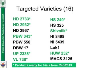 Targeted Varieties (16)
HD 2733*
HD 2932*
HD 2967
PBW 343*
PBW 550
DBW 17
UP 2338*
VL 738*
HS 240*
HS 325
Shivalik*
HI 8498
NI 5439
Lok1
HUW 252*
MACS 3125
IndianCouncilofAgriculturalResearch
* Products ready for trials from Rabi2013
 