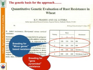 Breeding for
“Minor genes”
based resistance
Breeding for
“gene
pyramided”
resistance
IndianAgriculturalResearchInstitute The genetic basis for the approach…….
 