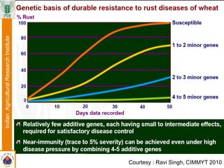 Courtesy : Ravi Singh, CIMMYT 2010
IndianAgriculturalResearchInstitute
 