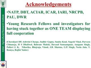 Acknowledgements
• NATP, DBT, ACIAR, ICAR, IARI, NRCPB,
PAU, DWR
• Young Research Fellows and investigators for
having stuck together as ONE TEAM displaying
full cooperation
(Cherukuri DP, Ashwini Charpe, Sudhir Gupta, Sunita Koul, Yogesh Vikal, Parveen
Chhuneja, H S Dhaliwal, Bahram Maleki, Davood Samsampour, Anupam Singh,
Pallavi J. K, Niharika, Bhojraja, Vinod, J.B. Sharma, G.P. Singh, Neelu Jain, T.
Ramya, Rajbir Yadav)
IndianAgriculturalResearchInstitute
 