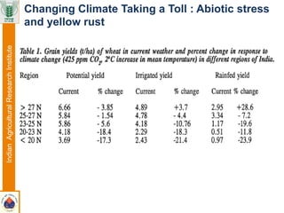 IndianAgriculturalResearchInstitute Changing Climate Taking a Toll : Abiotic stress
and yellow rust
 