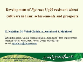Development of Pgt race Ug99 resistant wheat
cultivars in Iran: achievements and prospects
G. Najafian, M. Vahab Zadeh, A. Amini and S. Mahfoozi
Wheat breeders, Cereal Research Dept., Seed and Plant Improvement
Institute (SPII), Karaj, Iran, Postal Code: 3135933151
e-mail: goodarzn@yahoo.co.uk
 