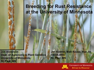 Breeding for Rust Resistance
at the University of Minnesota
	

Jim Anderson
Dept. of Agronomy & Plant Genetics
University of Minnesota
St. Paul, MN
Jim Kolmer, Matt Rouse, Yue Jin
USDA-ARS
St. Paul, MN
 