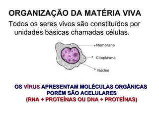 ORGANIZAÇÃO DA MATÉRIA VIVA
Todos os seres vivos são constituídos por
unidades básicas chamadas células.
Membrana
Citoplasma
Núcleo
OSOS VÍRUSVÍRUS APRESENTAM MOLÉCULAS ORGÂNICASAPRESENTAM MOLÉCULAS ORGÂNICAS
PORÉM SÃO ACELULARESPORÉM SÃO ACELULARES
(RNA + PROTEÍNAS OU DNA + PROTEÍNAS)(RNA + PROTEÍNAS OU DNA + PROTEÍNAS)
 
