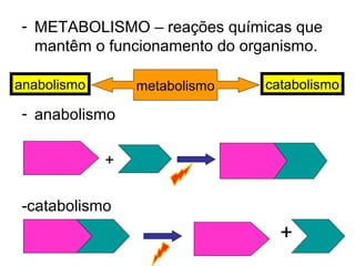 - METABOLISMO – reações químicas que
mantêm o funcionamento do organismo.
- anabolismo
+
-catabolismo
+
anabolismo metabolismo catabolismo
 