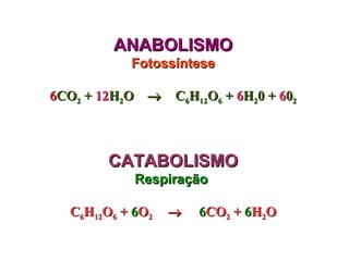 ANABOLISMOANABOLISMO
FotossínteseFotossíntese
66COCO22 ++ 1212HH22OO →→ CC66HH1212OO66 ++ 66HH220 +0 + 660022
CATABOLISMOCATABOLISMO
RespiraçãoRespiração
CC66HH1212OO66 ++ 66OO22 →→ 66COCO22 ++ 66HH22OO
 