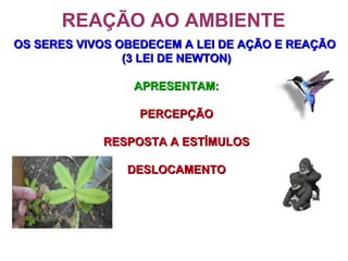 REAÇÃO AO AMBIENTE
OS SERES VIVOS OBEDECEM A LEI DE AÇÃO E REAÇÃOOS SERES VIVOS OBEDECEM A LEI DE AÇÃO E REAÇÃO
(3 LEI DE NEWTON)(3 LEI DE NEWTON)
APRESENTAM:APRESENTAM:
PERCEPÇÃOPERCEPÇÃO
RESPOSTA A ESTÍMULOSRESPOSTA A ESTÍMULOS
DESLOCAMENTODESLOCAMENTO
 