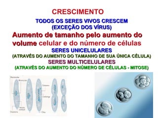 CRESCIMENTO
TODOS OS SERES VIVOS CRESCEMTODOS OS SERES VIVOS CRESCEM
(EXCEÇÃO DOS VÍRUS)(EXCEÇÃO DOS VÍRUS)
Aumento de tamanho pelo aumento doAumento de tamanho pelo aumento do
volumevolume celular e do número de células
SERES UNICELULARESSERES UNICELULARES
(ATRAVÉS DO AUMENTO DO TAMANHO DE SUA ÚNICA CÉLULA)(ATRAVÉS DO AUMENTO DO TAMANHO DE SUA ÚNICA CÉLULA)
SERES MULTICELULARESSERES MULTICELULARES
(ATRAVÉS DO AUMENTO DO NÚMERO DE CÉLULAS - MITOSE)(ATRAVÉS DO AUMENTO DO NÚMERO DE CÉLULAS - MITOSE)
 
