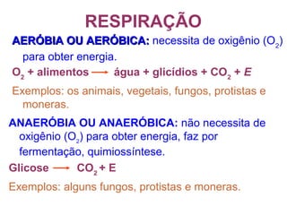 RESPIRAÇÃO
AERÓBIA OU AERÓBICA:AERÓBIA OU AERÓBICA: necessita de oxigênio (O2
)
para obter energia.
O2
+ alimentos água + glicídios + CO2
+ E
Exemplos: os animais, vegetais, fungos, protistas e
moneras.
ANAERÓBIA OU ANAERÓBICA: não necessita de
oxigênio (O2
) para obter energia, faz por
fermentação, quimiossíntese.
Glicose CO2
+ E
Exemplos: alguns fungos, protistas e moneras.
 