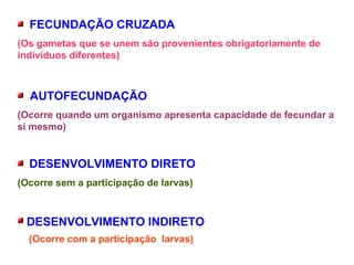 FECUNDAÇÃO CRUZADA
(Os gametas que se unem são provenientes obrigatoriamente de
indivíduos diferentes)
AUTOFECUNDAÇÃO
(Ocorre quando um organismo apresenta capacidade de fecundar a
si mesmo)
DESENVOLVIMENTO DIRETO
(Ocorre sem a participação de larvas)
DESENVOLVIMENTO INDIRETO
(Ocorre com a participação larvas)
 
