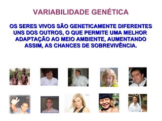 VARIABILIDADE GENÉTICA
OS SERES VIVOS SÃO GENETICAMENTE DIFERENTESOS SERES VIVOS SÃO GENETICAMENTE DIFERENTES
UNS DOS OUTROS, O QUE PERMITE UMA MELHORUNS DOS OUTROS, O QUE PERMITE UMA MELHOR
ADAPTAÇÃO AO MEIO AMBIENTE, AUMENTANDOADAPTAÇÃO AO MEIO AMBIENTE, AUMENTANDO
ASSIM, AS CHANCES DE SOBREVIVÊNCIA.ASSIM, AS CHANCES DE SOBREVIVÊNCIA.
 