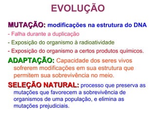 EVOLUÇÃO
MUTAÇÃO:MUTAÇÃO: modificações na estrutura do DNA
- Falha durante a duplicação
- Exposição do organismo à radioatividade
- Exposição do organismo a certos produtos químicos.
ADAPTAÇÃO:ADAPTAÇÃO: Capacidade dos seres vivos
sofrerem modificações em sua estrutura que
permitem sua sobrevivência no meio.
SELEÇÃO NATURAL:SELEÇÃO NATURAL: processo que preserva as
mutações que favorecem a sobrevivência de
organismos de uma população, e elimina as
mutações prejudiciais.
 