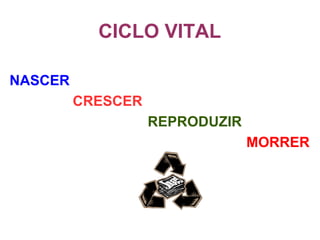CICLO VITAL
NASCER
CRESCER
REPRODUZIR
MORRER
 
