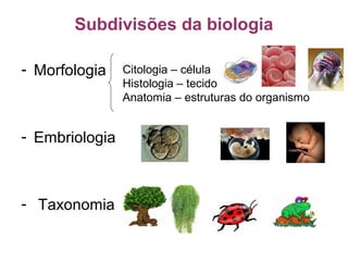 Subdivisões da biologia
- Morfologia
- Embriologia
- Taxonomia
Citologia – célula
Histologia – tecido
Anatomia – estruturas do organismo
 