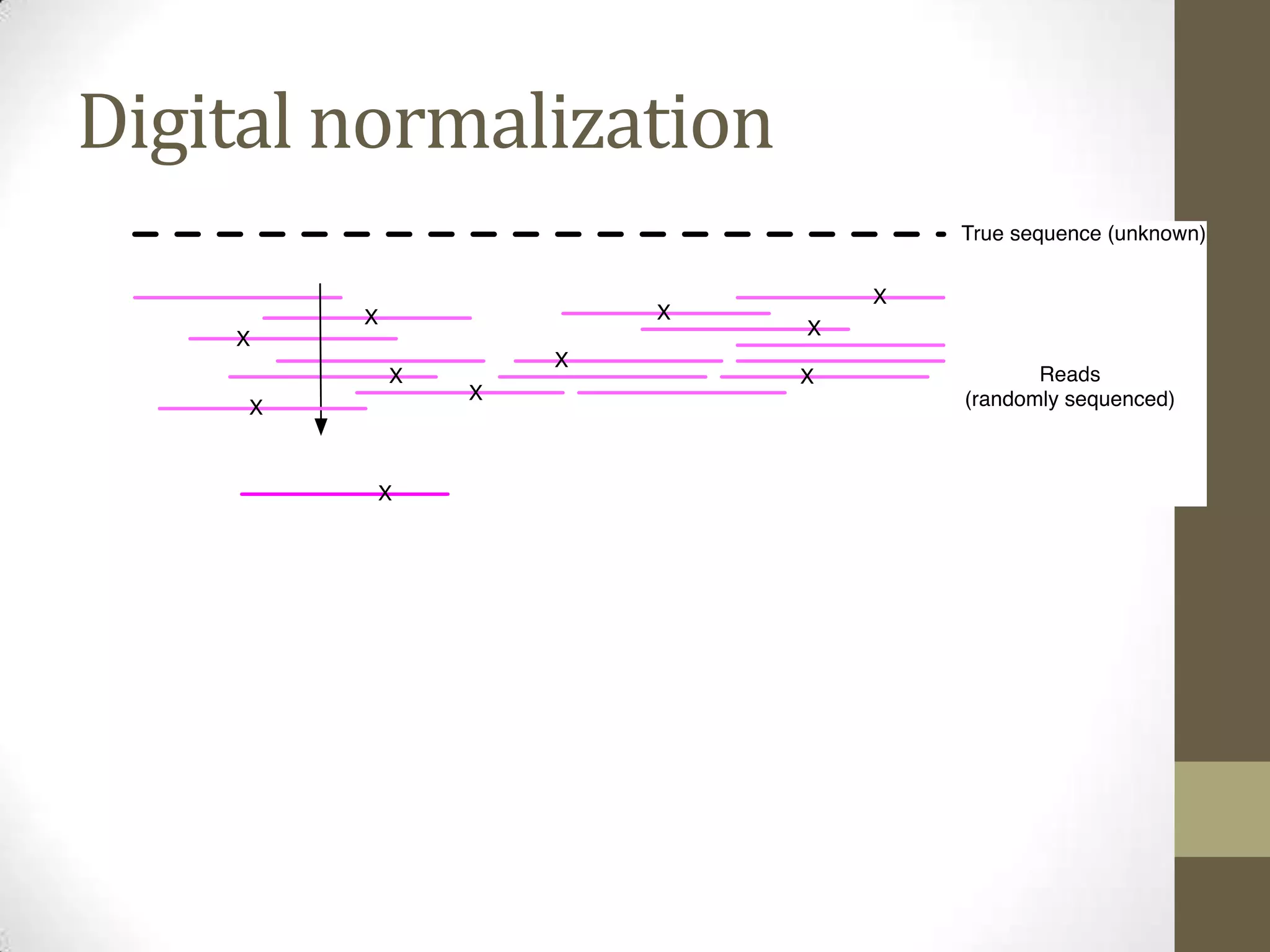 Digital normalization
 