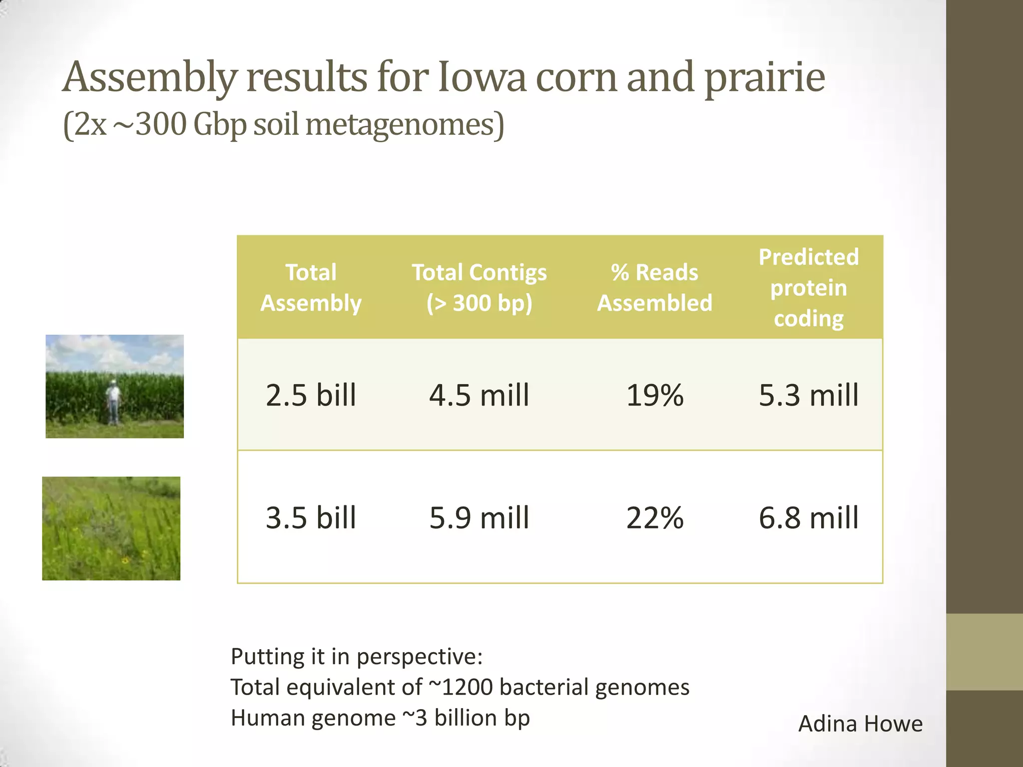 Putting it in perspective:
Total equivalent of ~1200 bacterial genomes
Human genome ~3 billion bp
Assemblyresults for Iowacorn and prairie
(2x~300Gbpsoilmetagenomes)
Total
Assembly
Total Contigs
(> 300 bp)
% Reads
Assembled
Predicted
protein
coding
2.5 bill 4.5 mill 19% 5.3 mill
3.5 bill 5.9 mill 22% 6.8 mill
Adina Howe
 