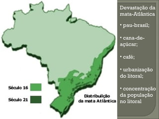 Devastação da
mata-Atlântica

• pau-brasil;

• cana-de-
açúcar;

• café;

• urbanização
do litoral;

• concentração
da população
no litoral
 