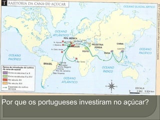 Por que os portugueses investiram no açúcar?
 