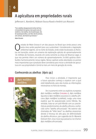 99PLANTAR, CRIAR E CONSERVAR: unindo produtividade e meio ambiente
Jeﬀerson L. Banderó, Robson Sousa Raad e André Luis Rossoni
A apicultura em propriedades rurais
O
estado de Mato Grosso é um dos poucos no Brasil que ainda possui uma
vasta área verde passível para uso sustentável. Considerando a legislação
ambiental vigente, só no norte do Estado, onde estão localizadas as flores-
tas de transição, existe um universo de exploração apícola de aproximadamente
36 milhões de hectares, levando em conta somente as áreas de Reserva Legal, o
que nos permite inferir um número de aproximadamente 24.000 apiários distri-
buídos harmonicamente nessa região. Nesse capítulo serão abordados os pontos
mais importantes que o produtor deve considerar para iniciar a atividade de apicul-
tura em sua propriedade e torná-la mais um meio de geração de renda.
Conhecendo as abelhas (Apis sp.)
Para iniciar a atividade, é importante que
o futuro apicultor conheça a espécie com a qual
está trabalhando, pois são muitas as informações
necessárias na hora do manejo.
Do cruzamento entre as espécies europeias
Apis mellifera mellifera (figura 1), Apis mellifera
ligustica e Apis mellifera caucasica e a abelha afri-
cana (Apis mellifera scutellata), surgiu uma nova
espécie que foi popularizada como híbrida. Na
verdade, trata-se um poli-híbrido com as caracte-
rísticas predominantes da abelha africana, conhe-
cido como “abelha africanizada”. No exterior são
chamadas de “killer bees” ou abelhas assassinas
devido à herança do alto grau de defensividade
da abelha africana e, por sugestão do Dr. Warwick
Estevam Kerr, essa nova raça passaria a se chamar
Apis mellifera africanizada.
6CAPÍTULO
1 Apis mellifera
mellifera.
Foto:JeffersonL.Banderó
“Se as abelhas desaparecerem da face da Terra,
a humanidade terá apenas mais quatro anos de
existência. Sem abelhas não há polinização, não
há reprodução da flora, sem flora não há animais,
sem animais, não haverá raça humana.”
Albert Einstein
 
