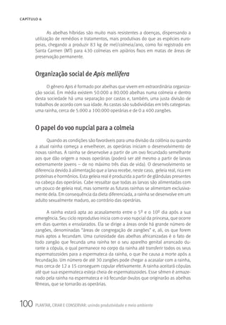 100 PLANTAR, CRIAR E CONSERVAR: unindo produtividade e meio ambiente
CAPÍTULO 6
As abelhas híbridas são muito mais resistentes a doenças, dispensando a
utilização de remédios e tratamentos, mais produtivas do que as espécies euro-
peias, chegando a produzir 83 kg de mel/colmeia/ano, como foi registrado em
Santa Carmen (MT) para 430 colmeias em apiários fixos em matas de áreas de
preservação permanente.
Organização social de Apis mellifera
O gênero Apis é formado por abelhas que vivem em extraordinária organiza-
ção social. Em média existem 50.000 a 80.000 abelhas numa colmeia e dentro
desta sociedade há uma separação por castas e, também, uma justa divisão de
trabalhos de acordo com sua idade. As castas são subdivididas em três categorias:
uma rainha, cerca de 5.000 a 100.000 operárias e de 0 a 400 zangões.
O papel do voo nupcial para a colmeia
Quando as condições são favoráveis para uma divisão da colônia ou quando
a atual rainha começa a envelhecer, as operárias iniciam o desenvolvimento de
novas rainhas. A rainha se desenvolve a partir de um ovo fecundado semelhante
aos que dão origem a novas operárias (poderá ser até mesmo a partir de larvas
extremamente jovens – de no máximo três dias de vida). O desenvolvimento se
diferencia devido à alimentação que a larva recebe, neste caso, geleia real, rica em
proteínas e hormônios. Esta geleia real é produzida a partir de glândulas presentes
na cabeça das operárias. Cabe ressaltar que todas as larvas são alimentadas com
um pouco de geleia real, mas somente as futuras rainhas se alimentam exclusiva-
mente dela. Em consequência da dieta diferenciada, a rainha se desenvolve em um
adulto sexualmente maduro, ao contrário das operárias.
A rainha estará apta ao acasalamento entre o 5º e o 10º dia após a sua
emergência. Seu ciclo reprodutivo inicia com o voo nupcial da princesa, que ocorre
em dias quentes e ensolarados. Ela se dirige a áreas onde há grande número de
zangões, denominadas “áreas de congregação de zangões” e, ali, os que forem
mais aptos a fecundam. Uma curiosidade das abelhas africanizadas é o fato de
todo zangão que fecunda uma rainha ter o seu aparelho genital arrancado du-
rante a cópula, o qual permanece no corpo da rainha até transferir todos os seus
espermatozoides para a espermateca da rainha, o que lhe causa a morte após a
fecundação. Um número de até 30 zangões pode chegar a acasalar com a rainha,
mas cerca de 12 a 15 conseguem copular efetivamente. A rainha aceitará cópulas
até que sua espermateca esteja cheia de espermatozoides. Esse sêmen é armaze-
nado pela rainha na espermateca e irá fecundar óvulos que originarão as abelhas
fêmeas, que se tornarão as operárias.
 