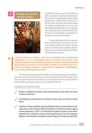 105PLANTAR, CRIAR E CONSERVAR: unindo produtividade e meio ambiente
CAPÍTULO 6
insatisfatória (poucos ovos fecundados ou
falhas na postura no painel dos favos) tam-
bém induzem à substituição. Assim, alguns
alvéolos que contêm larvas femininas com
até três dias de idade são transformados
em realeiras emergenciais e tais larvas são
alimentadas abundantemente com a geleia
real, apropriada para o desenvolvimento de
princesas. Essas realeiras são puxadas em
qualquer local do favo (figura 4).
Isso também poderá ocorrer quando
houver grande oferta de alimento na natu-
reza, elevada postura da rainha e falta de
espaço na colmeia para as abelhas deposi-
tarem essa grande quantidade de produto
coletado pelas campeiras.
a puxada natural de rainha, feita pelas operárias, vai acarretar em
enxameação, o que é indesejável para o apicultor, pois perde a sua
força de trabalho por um erro de manejo. o maior prejuízo é quando
isso acontece no meio de uma grande florada, pois diminuindo o ta-
manho do enxame, diminui a quantidade de campeiras, responsáveis
pela coleta da produção em campo.
Uma das formas de produção é através da utilização de cúpulas onde são en-
xertadas larvas de até três dias de vida sobre grandes quantidades de geleia real.
Com essa alimentação em abundância e com o espaço maior da cúpula, haverá a
diferenciação dessa larva propícia para a criação de rainhas.
Cuidados na troca da rainha
Verificar a existência de realeiras antes da introdução da nova rainha. Se houver
realeiras, eliminá-las;
A introdução das rainhas deve ser realizada em dias claros sem chuva ou ventos
fortes;
Introduzir a rainha em gaiolas especiais (diferentes tipos são encontradas no mer-
cado), pois a rainha começa a liberar o feromônio no interior do enxame e logo as
nutrizes organizam a “corte” e o fornecimento de geleia real para a nova rainha.
Enquanto isso, as operárias retiram o candy (pasta de açúcar com mel e água) que
bloqueia o furo da gaiola como pode ser visto na figura 15, de modo que ao liberá-
4 Exemplo de realeiras
retiradas do favo.
Foto:JeffersonL.Banderó
 