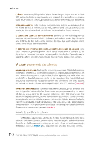 110 PLANTAR, CRIAR E CONSERVAR: unindo produtividade e meio ambiente
CAPÍTULO 6
c) água: instalar o apiário próximo a boas fontes de água limpa, nunca a mais de
300 metros de distância, caso isso não seja possível, deveremos fornecer água na
razão de 20 litros por semana, pois ela é usada para a termorregulação da colmeia;
d) sombreamento: evitar em lugar muito escuro ou a pleno sol, pois poderá ha-
ver morte de crias e fermentação do mel, além de uma sensível diminuição de
produção. Uma solução é colocar telhados impermeáveis sobre as colmeias;
e) colocar as colmeias sobre cavaletes e orientá-las com o alvado para o sol
nascente para estimular o trabalho mais cedo, evitando os ventos frios. Respeitar
uma distância de dois metros entre colmeias de modo que os alvados não interfi-
ram na linha de voo de outra colmeia;
f) sempre se deve levar em conta a possível presença de animais como
tatus, tamanduás, pois eles podem causar danos ao atacarem as colmeias ou en-
tão antas ou capivaras, que ao se coçarem podem derrubá-las. Prevenção: cercar
o apiário ou fazer cavaletes mais altos de modo a inibir a ação desses animais.
3º passo: povoamento das colmeias
aquisição de núcleos: Núcleos são pequenos enxames de 5000 abelhas com a
presença de cinco favosjá construídosdispostosnosrespectivosquadrosmorando em
uma colmeia de transporte ou captura. Nele já existe a presença de mel e pólen para
a subsistência das abelhas com a rainha em franca postura. Uma das atividades da
apicultura é o comércio de núcleos que contêm uma rainha nova com ótima postura,
em torno de um a dois quilos de abelhas operárias (10 a 20.000 abelhas) (figura 8).
divisão de enxames: Esse é um método bastante utilizado, pois é o menos one-
roso e é possível efetuar divisões de enxames sempre que necessário ou a cada
60 dias, ou seja, a partir de 10 enxames poderemos obter 640 enxames ao final
de um ano. Hipoteticamente, através do método do equilíbrio da colmeia, ocorrerá
a multiplicação exponencial dos enxames pela simples divisão. Nesse método não
é possível a produção de outro produto que não seja a cera, e só é possível com o
fornecimento de ração proteica em quantidade suficiente para o desenvolvimento
dos enxames, conforme esquema da figura 9.
Método do equilíbrio da colmeia
O Método do Equilíbrio da Colmeia é o método mais simples e eficiente de se
efetivar a divisão de colmeias, porque nele o apicultor respeita o sequenciamento
do ninho ao dividir o enxame exatamente ao meio e levar os quadros com crias
de todas as idades. A tabela 3 traz os passos para uma boa divisão de colmeia.
 