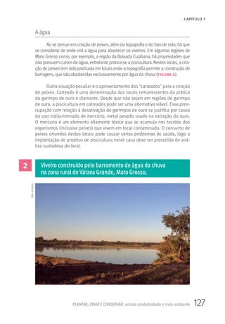 127PLANTAR, CRIAR E CONSERVAR: unindo produtividade e meio ambiente
CAPÍTULO 7
A água
Ao se pensar em criação de peixes, além da topografia e do tipo de solo, há que
se considerar de onde virá a água para abastecer os viveiros. Em algumas regiões de
Mato Grosso como, por exemplo, a região da Baixada Cuiabana, há propriedades que
não possuem cursos de água, entretanto pratica-se a piscicultura. Nestes locais, a cria-
ção de peixes tem sido praticada em locais onde a topografia permite a construção de
barragens, que são abastecidas exclusivamente por água da chuva (figura 2).
Outra situação peculiar é o aproveitamento dos “catreados” para a criação
de peixes. Catreado é uma denominação dos locais remanescentes da prática
do garimpo de ouro e diamante. Desde que não sejam em regiões de garimpo
de ouro, a piscicultura em catreados pode ser uma alternativa viável. Essa preo-
cupação com relação à desativação de garimpos de ouro se justifica por causa
do uso indiscriminado de mercúrio, metal pesado usado na extração do ouro.
O mercúrio é um elemento altamente tóxico que se acumula nos tecidos dos
organismos (inclusive peixes) que vivem em local contaminado. O consumo de
peixes oriundos destes locais pode causar sérios problemas de saúde, logo a
implantação de projetos de piscicultura neste caso deve ser precedida de aná-
lise cuidadosa do local.
2 Viveiro construído pelo barramento de água da chuva
na zona rural de Várzea Grande, Mato Grosso.
Fotodoautor
 