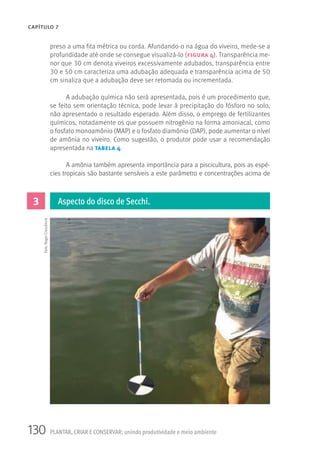 130 PLANTAR, CRIAR E CONSERVAR: unindo produtividade e meio ambiente
CAPÍTULO 7
preso a uma fita métrica ou corda. Afundando-o na água do viveiro, mede-se a
profundidade até onde se consegue visualizá-lo (figura 4). Transparência me-
nor que 30 cm denota viveiros excessivamente adubados, transparência entre
30 e 50 cm caracteriza uma adubação adequada e transparência acima de 50
cm sinaliza que a adubação deve ser retomada ou incrementada.
A adubação química não será apresentada, pois é um procedimento que,
se feito sem orientação técnica, pode levar à precipitação do fósforo no solo,
não apresentado o resultado esperado. Além disso, o emprego de fertilizantes
químicos, notadamente os que possuem nitrogênio na forma amoniacal, como
o fosfato monoamônio (MAP) e o fosfato diamônio (DAP), pode aumentar o nível
de amônia no viveiro. Como sugestão, o produtor pode usar a recomendação
apresentada na tabela 4.
A amônia também apresenta importância para a piscicultura, pois as espé-
cies tropicais são bastante sensíveis a este parâmetro e concentrações acima de
3 Aspecto do disco de Secchi.
Foto:RogerCrescêncio
 