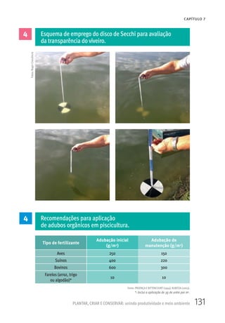 131PLANTAR, CRIAR E CONSERVAR: unindo produtividade e meio ambiente
CAPÍTULO 7
4 Esquema de emprego do disco de Secchi para avaliação
da transparência do viveiro.
Fotos:RogerCrescêncio
Tipo de fertilizante
Adubação inicial
(g/m2)
Adubação de
manutenção (g/m2)
Aves 250 150
Suínos 400 220
Bovinos 600 300
Farelos (arroz, trigo
ou algodão)*
10 10
4 Recomendações para aplicação
de adubos orgânicos em piscicultura.
Fonte: PROENÇA E BITTENCOURT (1994); KUBITZA (2003).
*: Inclui a aplicação de 3g de uréia por m2.
 