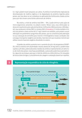 132 PLANTAR, CRIAR E CONSERVAR: unindo produtividade e meio ambiente
CAPÍTULO 7
0,1 mg/L podem trazer prejuízos ao cultivo. A amônia é normalmente originada da
decomposição de matéria orgânica e da degradação da proteína ingerida pelos
peixes, por isso deve-se ser cuidadoso na aplicação dos fertilizantes citados acima
para que não sirvam como fontes adicionais de amônia.
No viveiro, o nível de amônia total (NH3 – NH4+) pode diminuir pela ação de
micro-organismos presentes no próprio viveiro. Nesse caso, essa diminuição se
deve principalmente pela ação de bactérias nitrificantes (Nitrosomonas e Nitrobac-
ter), que produzem nitritos (NO2) e nitratos (NO3) (figura 5). O nitrito também é tó-
xico aos peixes e níveis acima de 0,7 mg/L devem ser evitados, pois podem causar
alteração nos parâmetros sanguíneos dos peixes, que se caracteriza pela alteração
na sua coloração do vermelho para marrom. A hemoglobina nestas condições não
consegue transportar oxigênio aos tecidos, fazendo com que os peixes morram por
asfixia mesmo havendo oxigênio dissolvido no viveiro.
A toxidez da amônia aumenta com o aumento do pH e da temperatura (KUBIT-
ZA, 2003) eviveiroscom alcalinidade e dureza abaixo de 20 mg CaCO3/Lpodem estar
sujeitos a pH altos, potencializando a toxidez da amônia e representando um sério ris-
co de morte dos peixes. Caso haja possibilidade, o piscicultor pode trocar parcialmen-
te a água do seu tanque, para que o nível de amônia ou nitrito diminua. Em situações
de trocas totais de água, o procedimento de calagem e adubação deverá ser repetido.
5 Representação esquemática do ciclo do nitrogênio.
Nitrato (NO3)
Trocas parciais de água
Nitrobacter
Nitrosomonas
Alimentação
Matéria orgânica em decomposição
Nitrito (NO2)
Amônia total
Adaptado de KUBITZA, 2003.
 