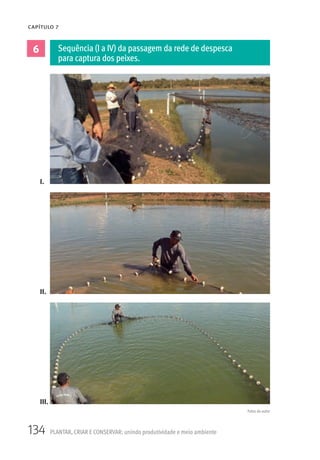 134 PLANTAR, CRIAR E CONSERVAR: unindo produtividade e meio ambiente
CAPÍTULO 7
6 Sequência (I a IV) da passagem da rede de despesca
para captura dos peixes.
I.
II.
III.
Fotos do autor
 