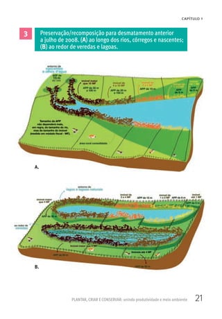 21PLANTAR, CRIAR E CONSERVAR: unindo produtividade e meio ambiente
CAPÍTULO 1
3 Preservação/recomposição para desmatamento anterior
a julho de 2008. (A) ao longo dos rios, córregos e nascentes;
(B) ao redor de veredas e lagoas.
A.
B.
 