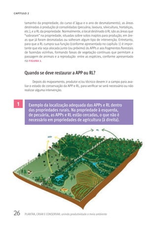 26 PLANTAR, CRIAR E CONSERVAR: unindo produtividade e meio ambiente
CAPÍTULO 2
tamanho da propriedade, do curso d´água e o ano de desmatamento), as áreas
destinadas à produção já consolidadas (pecuária, lavoura, silvicultura, hortaliças,
etc.), e a RL da propriedade. Normalmente, o local destinado à RL são as áreas que
“sobraram” na propriedade, situadas sobre solos inaptos para produção, em áre-
as que já foram desmatadas ou sofreram algum tipo de intervenção. Entretanto,
para que a RL cumpra sua função (conforme apresentado no capítulo 1) é impor-
tante que ela seja alocada junto (ou próximo) às APPs e aos fragmentos florestais
de fazendas vizinhas, formando faixas de vegetação contínuas que permitam a
passagem de animais e a reprodução entre as espécies, conforme apresentado
na figura 1.
Quando se deve restaurar a APP ou RL?
Depois do mapeamento, produtor e/ou técnico devem ir a campo para ava-
liar o estado de conservação da APP e RL, para verificar se será necessário ou não
realizar alguma intervenção.
1 Exemplo da localização adequada das APPs e RL dentro
das propriedades rurais. Na propriedade à esquerda,
de pecuária, as APPs e RL estão cercadas, o que não é
necessário em propriedades de agricultura (à direita).
 